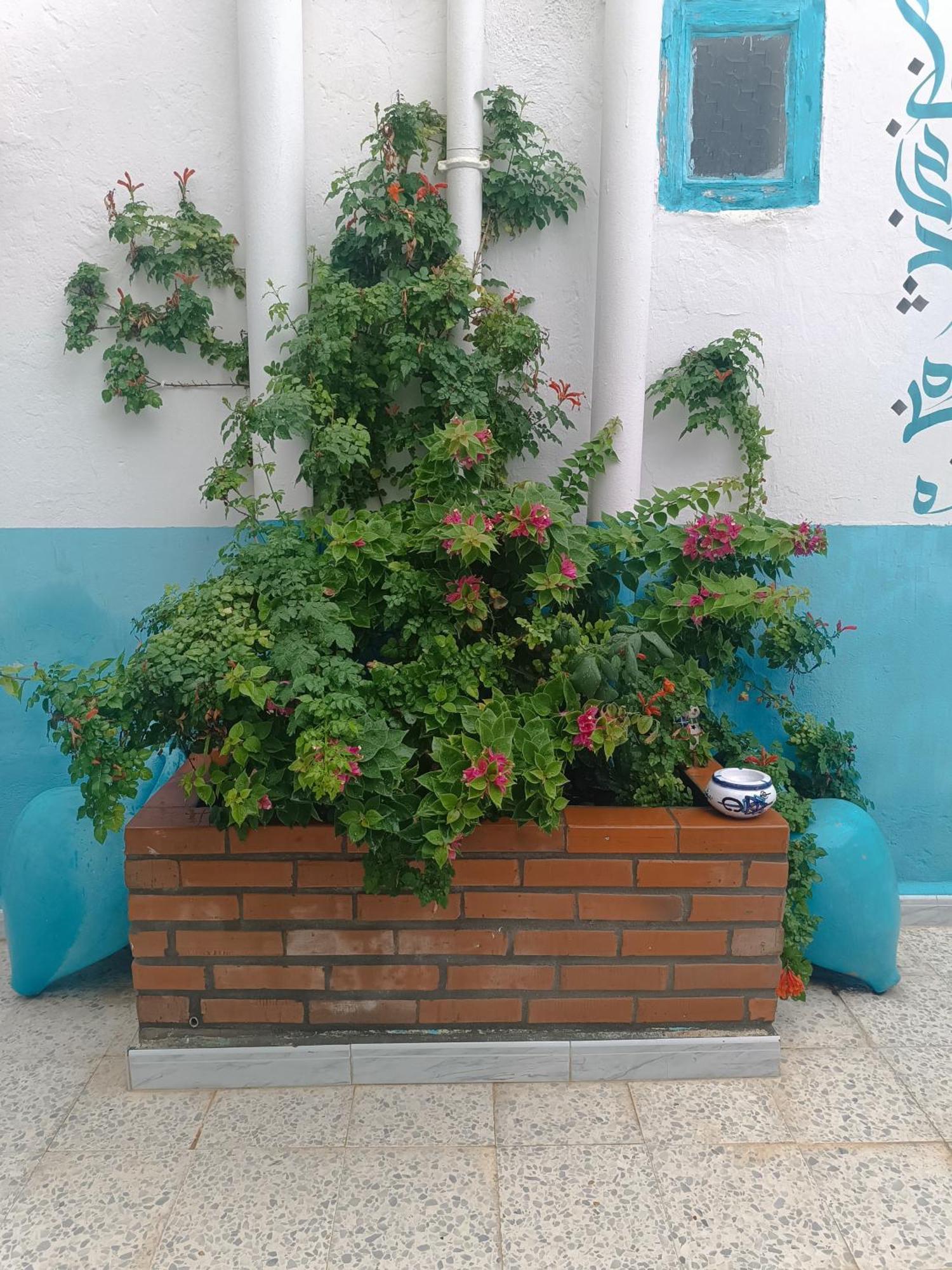 Dar Hkaiem Hotel Hammam Sousse Ngoại thất bức ảnh